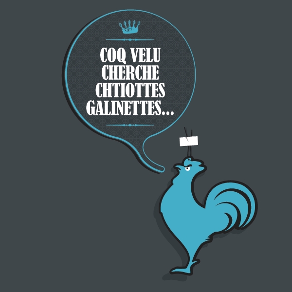 Coq velu cherche chtiottes galinettes...